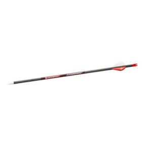 Bloodsport Judgement Arrow 300 Spine (6 Pack)