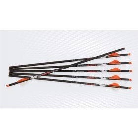 Ravin Premium Arrows (Match Weight) 500 Grain Hd .001 6Pk