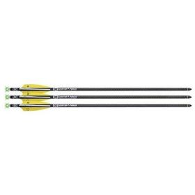 Ten Point Evo-X Centerpunch Alpha-Blaze Carbon Arrows 20" .001"