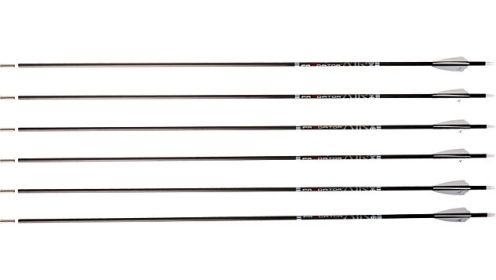 CARBON EXPRESS ARROW PREDATOR (Option: AIR 500 2" Q2i VANES 6PK)